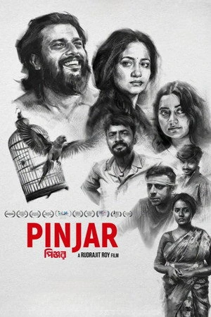 Pinjar 2026 Hindi Line HQ