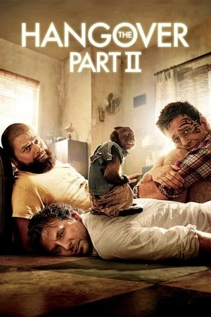 The Hangover Part II 2011 Hindi - English Audio