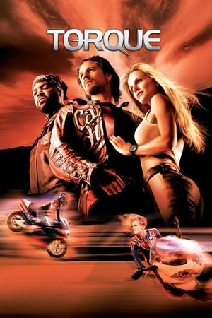 Torque 2004 300MB Hindi Dual Audio Download